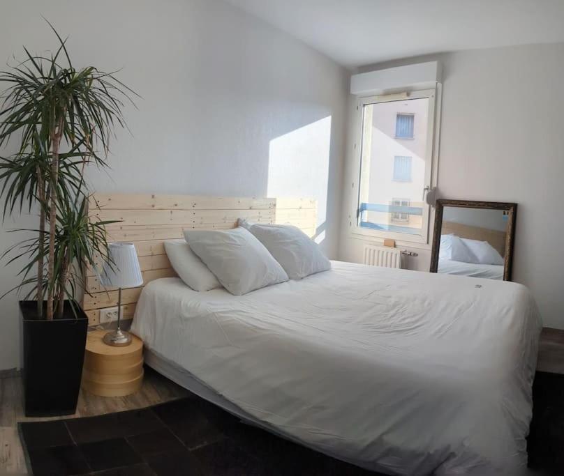 Le Cosy-Chic - T3 Balneo A Villeurbanne / Lyon Exterior photo